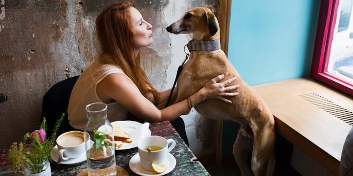 В кафе с собакой В кафе с собакой